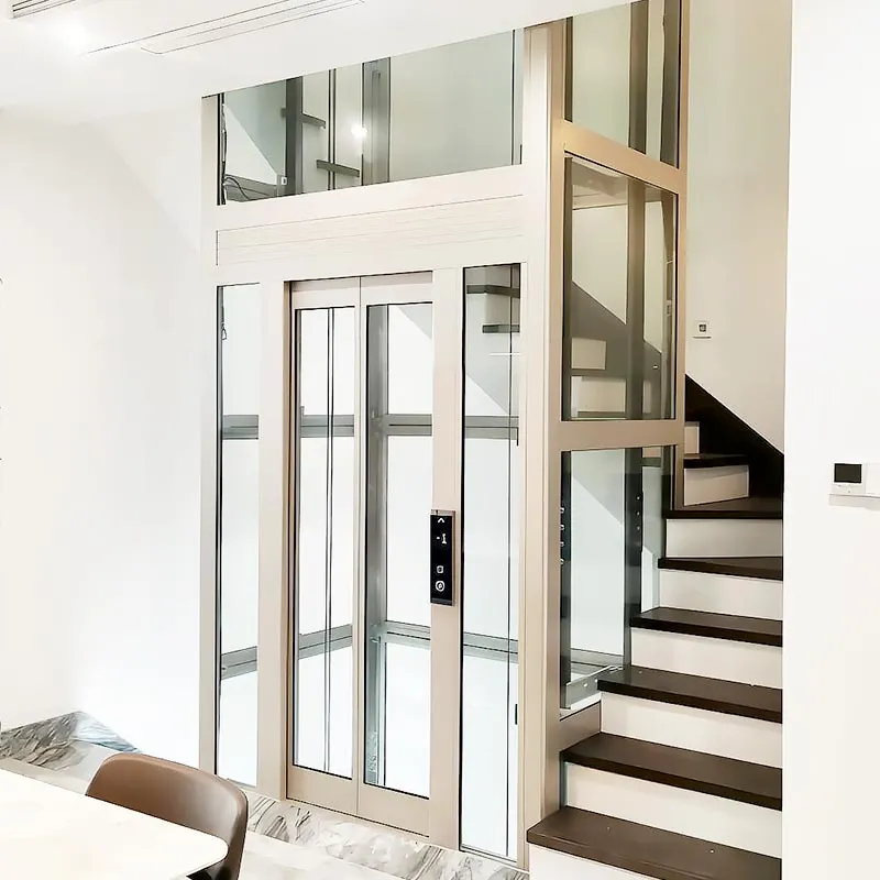 Traction-Drive Home Lift